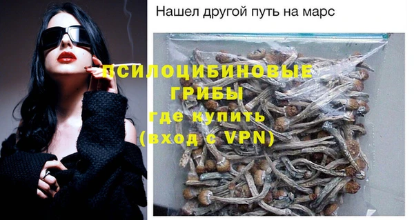 сатива Баксан