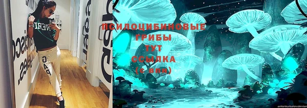 сатива Баксан