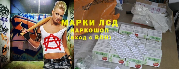 сатива Баксан