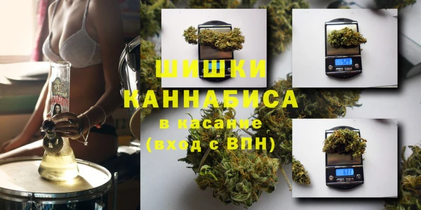 сатива Баксан