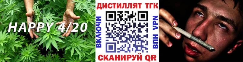 закладка  Котельниково  ТГК концентрат 