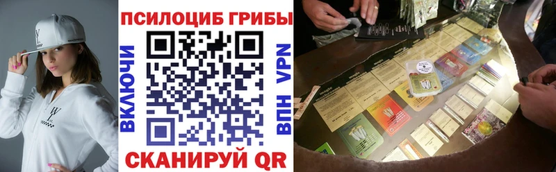 купить  цена  Котельниково  Псилоцибиновые грибы Psilocybe 